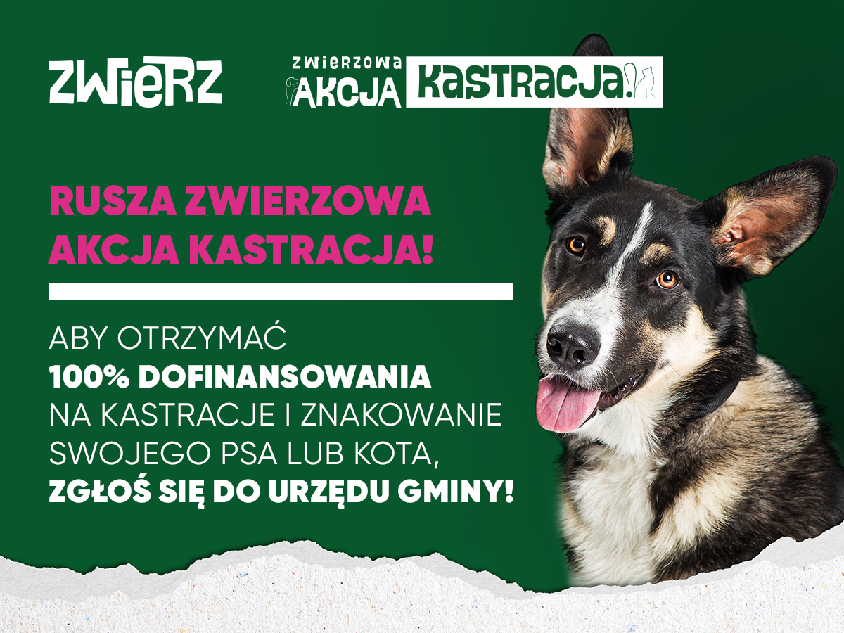 plakat. ZWIERZ akcja kastracja 2024 fb post 1